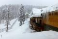 Tourist resort of Gulmarg capped in snow - Sakshi Post