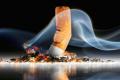 An estimated 2.6 million adult Australians were smokers in 2014, and smoking remains the country’s leading preventable cause of death and disease, An estimated 2.6 million adult Australians were smokers in 2014, and smoking remains the country’s leading preventable cause of death and disease, - Sakshi Post