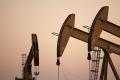OPEC and other key oil producers will meet on November 30 to discuss whether to extend the current price-supporting curbs on crude output - Sakshi Post