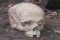 A human skull found at the caves - Sakshi Post