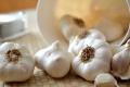 Garlic may prove as an effective drug when used with antibiotics - Sakshi Post