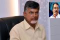 One cannot understand why Chandrababu Naidu, who has over four decades of experience in politics, is stooping so low - Sakshi Post