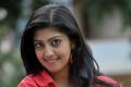 Pranitha Subhash&amp;amp;nbsp; - Sakshi Post