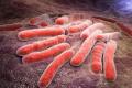 Tuberculosis is a life-threatening disease - Sakshi Post