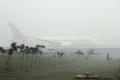 Over 200 planes flying into and out of Delhi were delayed, diverted or cancelled due to poor visibility. - Sakshi Post