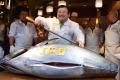 The bluefin tuna, weighing 405 kg and sourced from Aomori prefecture, - Sakshi Post