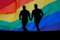 The Supreme Court will review a plea seeking decriminalisation of gay sex between two consenting adults. - Sakshi Post