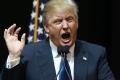 Donald Trump  Donald Trump  - Sakshi Post