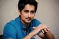 Actor Siddharth - Sakshi Post