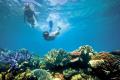 The Great Barrier Reef is a Unesco World Heritage site located of its northeast coast. - Sakshi Post