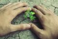 A new green index has ranked India the fourth worst country worldwide in curbing environmental pollution - Sakshi Post