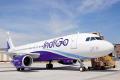 InterGlobe Aviation, parent of budget carrier IndiGo, reported over a 50 per cent jump in net profit at Rs 762.03 crore in the three months ended December - Sakshi Post