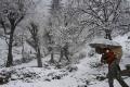 Representational image - Sakshi Post