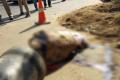 The body, which was stuffed in three gunny bags was found by the locals around 9am - Sakshi Post