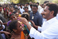 AP Leader of Opposition YS Jagan Mohan Reddy AP Leader of Opposition YS Jagan Mohan Reddy - Sakshi Post
