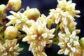 Representational image - Sakshi Post