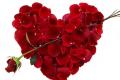 Decor for the Valentines Day - Sakshi Post