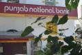 At one of the Mumbai branches of Punjab National Bank fraud of USD 1.8 billion was detected&amp;amp;nbsp; - Sakshi Post