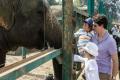 Canadian Prime Minister Justin Trudeau  visited Mathura Wildlife SOS Elephant Conservation - Sakshi Post