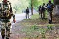 The battalion is based in Bijapur. The battalion is based in Bijapur. - Sakshi Post