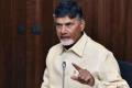 Andhra Pradesh chief minister Chandrababu Naidu - Sakshi Post