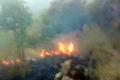 The fire broke out in Tamil Nadu’s Theni district while a Chennai-based trekking club, which had 25 women and 3 children, had organised the expedition from Kurangani to Bodi in the Western Ghats.  The fire broke out in Tamil Nadu’s Theni district while a Chennai-based trekking club, which had 25 women and 3 children, had organised the expedition from Kurangani to Bodi in the Western Ghats.  - Sakshi Post