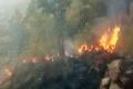 Nine trekkers have died in a forest fire on the Kurangani Hills in Tamil Nadu - Sakshi Post