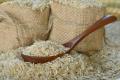 Rice  can also be a vital source of nutrition - Sakshi Post