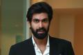 Rana Daggubati Rana Daggubati - Sakshi Post