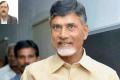 Andhra Pradesh Chief Minister N. Chandrababu Naidu - Sakshi Post