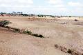 A picture of parched Adanki in Prakasam district. - Sakshi Post