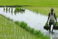 Representative Image - Sakshi Post