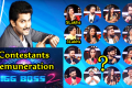 Bigg Boss 2 Telugu Contestants Remuneration - Sakshi Post