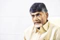 Andhra Pradesh Chief Minister N Chandrababu Naidu - Sakshi Post