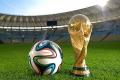 The World Cup is the largest sporting event across the globe and it appeals to a diverse set of viewers - Sakshi Post