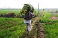 Farm Loan Waivers Could Discourage Borrowers From Repaying Loans - Sakshi Post