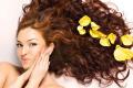 Hassle Free Hair in Monsoon Hassle Free Hair in Monsoon - Sakshi Post