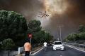 The death toll from Greece’s deadliest fire disaster rose to 94 today after one more victim died in hospital, the fire brigade said - Sakshi Post
