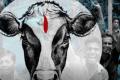 Dubai Tailor Beaten To Death In Bareilly After Cattle Theft - Sakshi Post