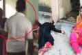 A police officer (SI) has landed himself in trouble after a video of him beating up his wife and mother in law mercilessly went viral - Sakshi Post