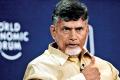 Andhra Pradesh Chief Minister and TDP chief N. Chandrababu Naidu - Sakshi Post