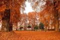 Autumn Arrives In Kashmir In All Its Glory - Sakshi Post