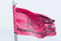 TRS Flag - Sakshi Post