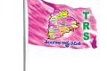 TRS Flag - Sakshi Post