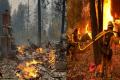 Firefighters Battle Raging Wildfires In California Firefighters Battle Raging Wildfires In California - Sakshi Post