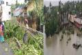 Cyclone Gaja Leaves A Trail Of Destruction In Tamil Nadu - Sakshi Post