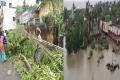 Cyclone Gaja Leaves A Trail Of Destruction In Tamil Nadu Cyclone Gaja Leaves A Trail Of Destruction In Tamil Nadu - Sakshi Post