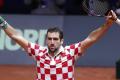 Marin Cilic defeated Jo-Wilfried Tsonga 6-3, 7-5, 6-4 in the second singles match to give Croatia a commanding 2-0 lead over France - Sakshi Post