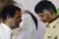 Congress president Rahul Gandhi and TDP President Chandrababu Naidu - Sakshi Post