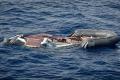 Libya Shipwreck Claims 12 Lives - Sakshi Post